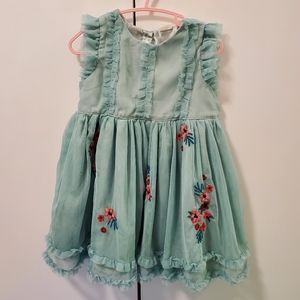 Beautiful Mesh Embroidered Dress